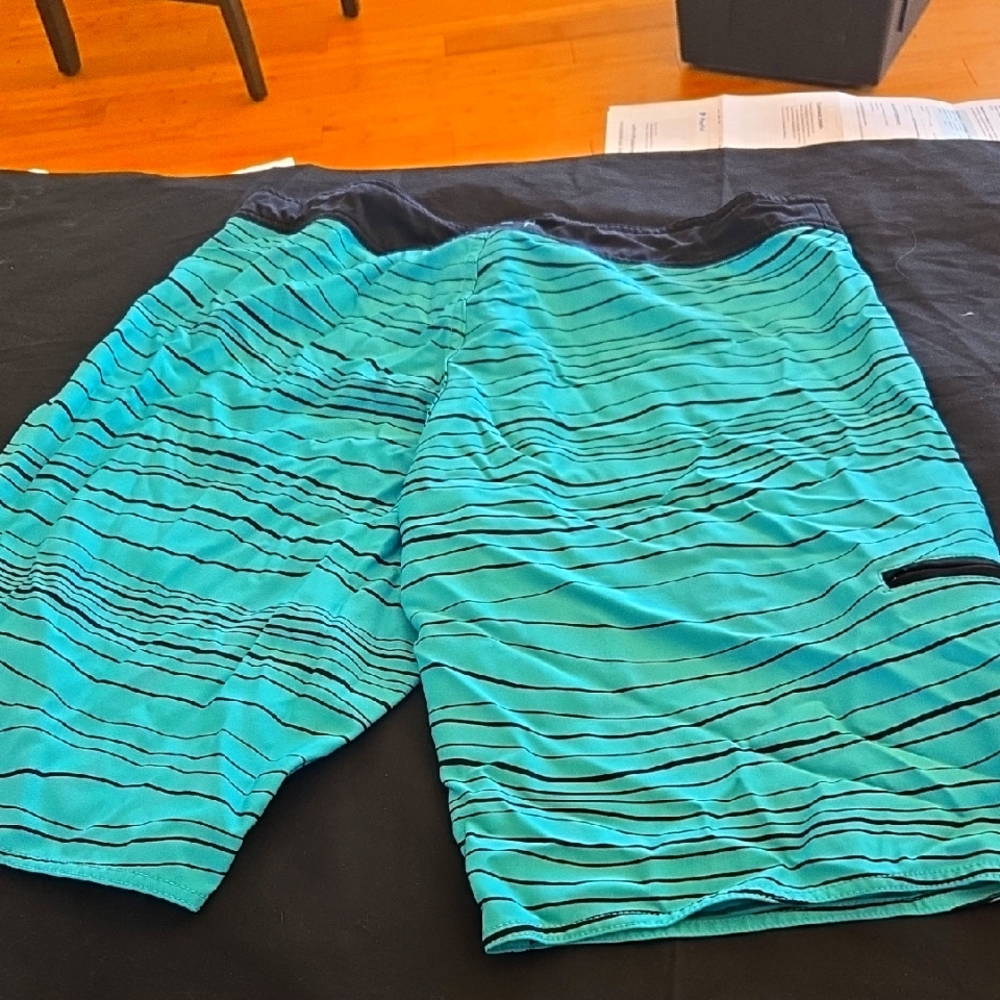 Men's Imperialmotion Blue Striped Swim Shorts